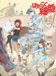 Hataraku Saibou!!