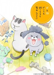 Inu to Neko Docchimo Katteru to Mainichi Tanoshii